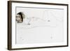 Reclining Female Nude, 1912-Egon Schiele-Framed Giclee Print