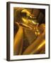 Reclining Gold Buddha at Grand Palace, Bangkok, Thailand-Bill Bachmann-Framed Premium Photographic Print