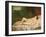 Reclining Nude, 1858-Gustave Courbet-Framed Giclee Print