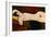 Reclining Nude, Ca. 1919-Amedeo Modigliani-Framed Giclee Print