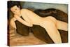 Reclining Nude from the Back (Nu Couche De Dos) 1917 (Oil on Canvas)-Amedeo Modigliani-Stretched Canvas