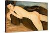 Reclining Nude from the Back (Nu Couche De Dos) 1917 (Oil on Canvas)-Amedeo Modigliani-Stretched Canvas