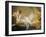 Reclining Nude (Miss O'Murphy)-Francois Boucher-Framed Giclee Print