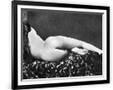 Gramercy Black