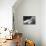 Reclining Nude Smoking-null-Photographic Print displayed on a wall