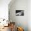 Reclining Nude Smoking-null-Mounted Photographic Print displayed on a wall