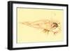 Reclining Nude with Cigarette-null-Framed Art Print