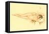 Reclining Nude with Cigarette-null-Framed Stretched Canvas