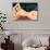 Reclining Nude-Amedeo Modigliani-Stretched Canvas displayed on a wall