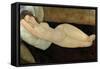 Reclining Nude-Amedeo Modigliani-Framed Stretched Canvas