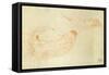 Reclining Nude-Gustav Klimt-Framed Stretched Canvas