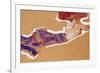 Reclining Semi-Nude with Red Hat-Egon Schiele-Framed Giclee Print