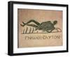 Reclining Skeleton with the Caption "Know Thyself"-null-Framed Giclee Print