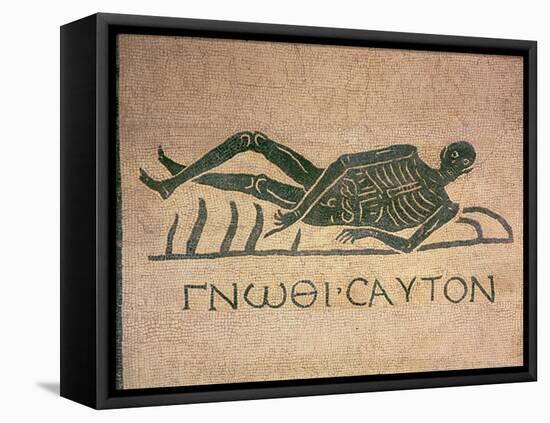 Reclining Skeleton with the Caption "Know Thyself"-null-Framed Stretched Canvas