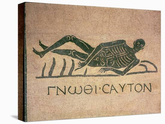 Reclining Skeleton with the Caption "Know Thyself"-null-Stretched Canvas