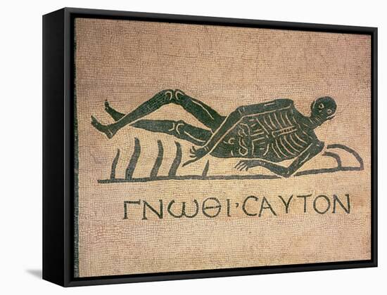 Reclining Skeleton with the Caption "Know Thyself"-null-Framed Stretched Canvas