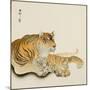 Reclining Tiger-Koson Ohara-Mounted Giclee Print