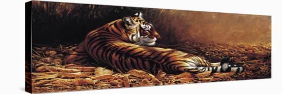 Reclining Tiger-Michael Jackson-Stretched Canvas