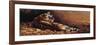 Reclining Tiger-Michael Jackson-Framed Giclee Print