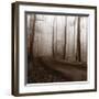 Recollection-Erin Clark-Framed Art Print