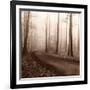 Recollection-Erin Clark-Framed Art Print