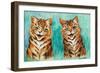 Reconciliation (W/C on Paper)-Louis Wain-Framed Giclee Print