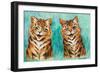 Reconciliation (W/C on Paper)-Louis Wain-Framed Giclee Print