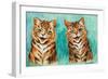 Reconciliation (W/C on Paper)-Louis Wain-Framed Giclee Print