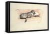 Reconciliation; Wolfhound and Bull Terrier Asleep in a Sofa-Cecil Aldin-Framed Stretched Canvas