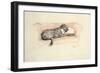 Reconciliation; Wolfhound and Bull Terrier Asleep in a Sofa-Cecil Aldin-Framed Giclee Print