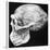 Reconstructed Skull of Prehistoric Man-null-Framed Photographic Print