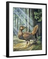 Reconstruction, Long-Tailed, Seed-Eating Bird Fossil-null-Framed Giclee Print