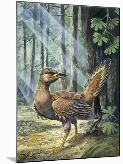 Reconstruction, Long-Tailed, Seed-Eating Bird Fossil-null-Mounted Giclee Print