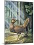 Reconstruction, Long-Tailed, Seed-Eating Bird Fossil-null-Mounted Giclee Print