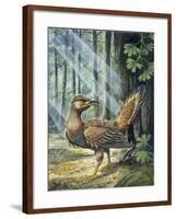 Reconstruction, Long-Tailed, Seed-Eating Bird Fossil-null-Framed Giclee Print