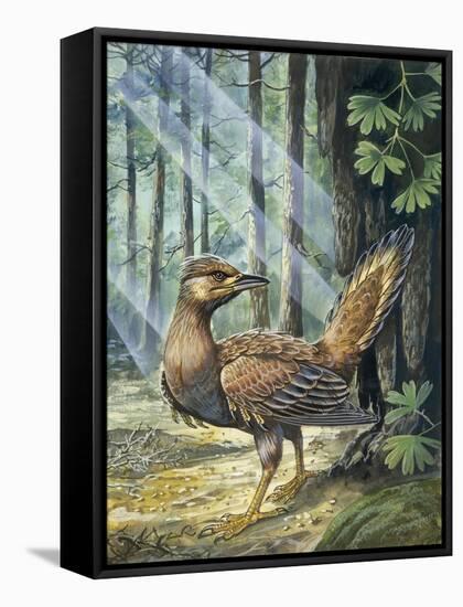 Reconstruction, Long-Tailed, Seed-Eating Bird Fossil-null-Framed Stretched Canvas