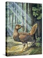 Reconstruction, Long-Tailed, Seed-Eating Bird Fossil-null-Stretched Canvas