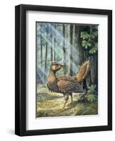 Reconstruction, Long-Tailed, Seed-Eating Bird Fossil-null-Framed Giclee Print