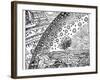 Reconstruction of a Medieval Conception of the Universe, 19th Century-null-Framed Giclee Print