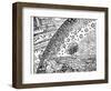 Reconstruction of a Medieval Conception of the Universe, 19th Century-null-Framed Giclee Print