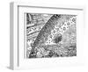 Reconstruction of a Medieval Conception of the Universe, 19th Century-null-Framed Giclee Print