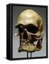 Reconstruction of a Skull of a Cro-Magnon Man-null-Framed Stretched Canvas