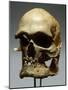 Reconstruction of a Skull of a Cro-Magnon Man-null-Mounted Photographic Print