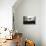 Record player-Christine Meder stage-art.de-Photographic Print displayed on a wall