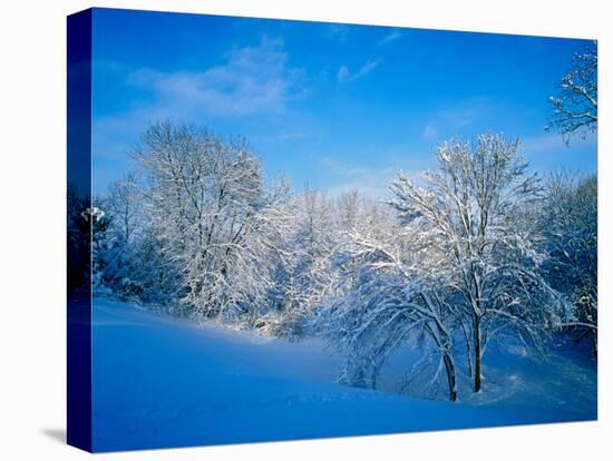 Record Snow in Louisville, Kentucky, USA-Adam Jones-Stretched Canvas