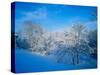 Record Snow in Louisville, Kentucky, USA-Adam Jones-Stretched Canvas