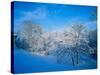 Record Snow in Louisville, Kentucky, USA-Adam Jones-Stretched Canvas
