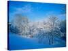 Record Snow in Louisville, Kentucky, USA-Adam Jones-Stretched Canvas