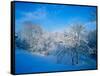 Record Snow in Louisville, Kentucky, USA-Adam Jones-Framed Stretched Canvas