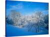 Record Snow in Louisville, Kentucky, USA-Adam Jones-Stretched Canvas